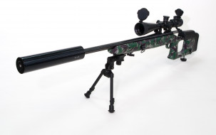      2550x1600 ,   , rifle