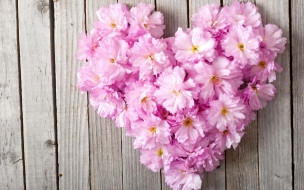      2880x1800 , ,  , , love, pink, heart, floral