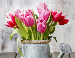      3000x2304 , , , flowers, spring, tulips