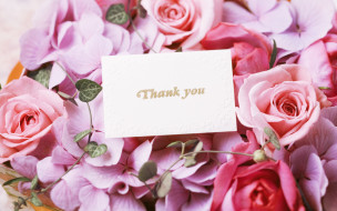      2560x1600 , , roses, thank, you, card, , , , flowers, bouquet