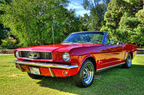 Mustangs     2048x1362 mustangs, , mustang, , 