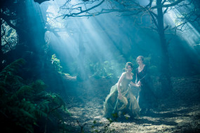      3500x2336  , into the woods, , woods, , , the, into, , , 