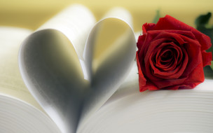      2880x1800 , , , , , red, rose, , love, flower, romantic