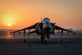 Harrier Sunrise     2048x1367 harrier sunrise, ,  , , , , 