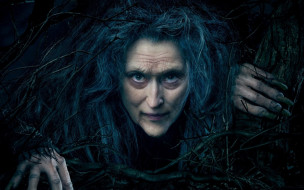      1920x1200  , into the woods, meryl, streep, into, the, woods