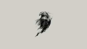      1920x1080 , , , , , drawing, , eagles, , beak, wings, feathers, , animals, minimalism, eyes