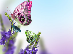      4000x3000 , ,  ,  , beauty, freshness, tender, spirit, butterfly, , , , , , , spring, leaves, blue, flowers, , , , 