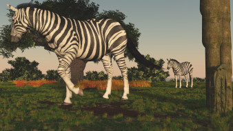     903647 (a): :2800x1575