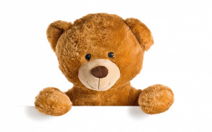      2880x1800 , , , , , toy, cute, teddy, bear