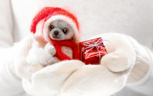      2880x1800 ,  , winter, cute, toy, dog, hands, santa, gift, xmas, christmas, , , , 