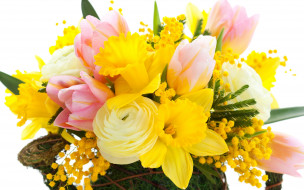      2560x1600 , ,  , petals, bouquet, mimosa, yellow, narcissus, pink, bright, flowers, tulips, , , , , , , , , 