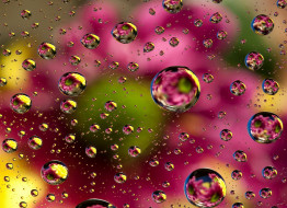 , ,  ,  , floral, colorful, , bubbles, background, colors, abstract, , 