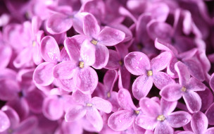     907402 (a): :2560x1600