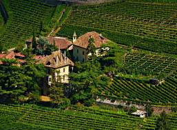 Vinery castle  Bolzano      2700x2000 vinery castle  bolzano , ,  , , bolzano, , , 