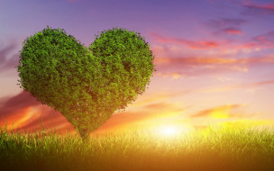      2880x1800 ,  , , , sunset, green, heart, love, tree, , 