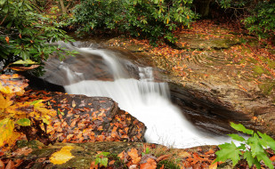      2048x1261 , , , stream, waterfall, , , , , autumn, leaves, water