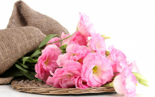 , , , fresh, pink, bouquet, flowers