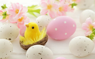 , , , , spring, eggs, easter