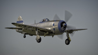 p-47d thunderbolt, ,   , 