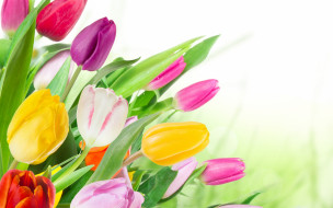     2880x1800 , , tulips, colorful, 