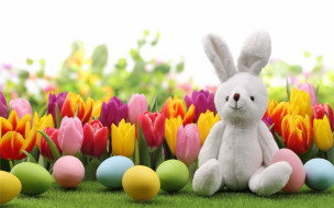      2880x1800 , , , , , bunny, tulips, flowers, spring, eggs, easter