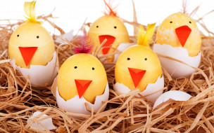      2880x1800 , , , , , eggs, smile, easter, funny