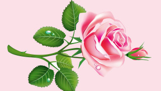     919561 (a): :1920x1080