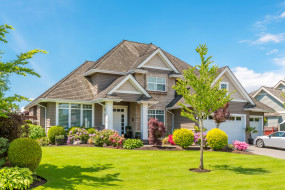 ���� ��� �������� ����� �924719 �������(a):svetik01 ����������:3000x2003