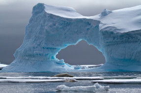 ,   , antarctica, iceberg, petermann, island, , , crabeater, seal