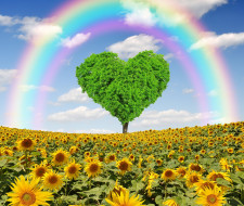      2600x2200 ,  , spring, heart, , , , , tree, meadow, field, love, rainbow, 