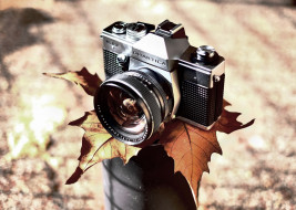 бренды, praktica, камера, фотоаппарат, лист, осень