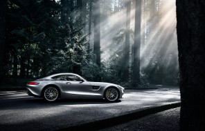      2048x1315 , mercedes-benz, , , , , , silver, 2016, gt, s, amg, forest, side, dark, sun, color, 