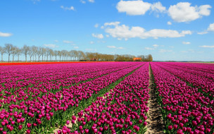     930224 (a): :2880x1800
