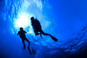 Diving     2400x1600 diving, , - , , , , 