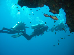 Diving     2304x1728 diving, , - , , , , 