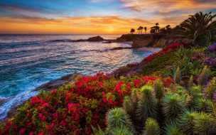      1920x1200 , , , laguna, beach, sunset, california, , , , 