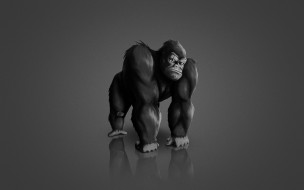      1920x1200 , ,  , , monkey, , , gorilla, , 