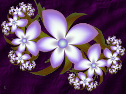     934505 (a): :2560x1920