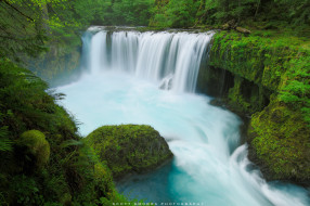 природа, водопады, водопад, зелень