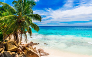      2880x1800 , , tropical, paradise, shore, sea, beach, summer, , , , , , palms, sand