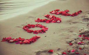      2880x1800 ,   ,  ,  , , , , , , sea, beach, sand, petals, sweet, love, romantic