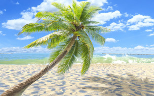      2880x1800 , , , , palms, sand, tropical, sea, beach, , , paradise, shore, , summer, 