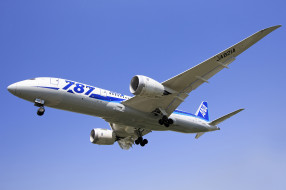 Boeing 787 Dreamliner     2048x1365 boeing 787 dreamliner, ,  , 