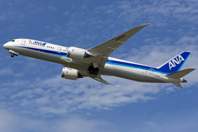 Boeing 787 Dreamliner     2048x1365 boeing 787 dreamliner, ,  , , 