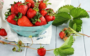      2880x1800 , ,  , , , , , , berries, fresh, strawberry