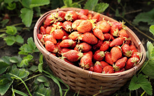      2880x1800 , ,  , , , , berries, fresh, strawberry, , , 