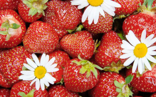      2880x1800 , ,  , strawberry, , berries, , , , , fresh