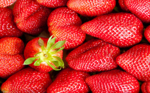      2880x1800 , ,  , strawberry, , berries, fresh, , , 