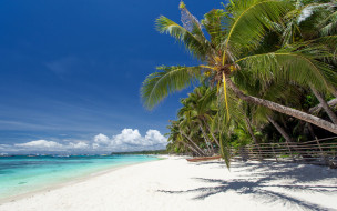 , , sand, , , , , paradise, summer, beach, sea, shore, tropical, , palms