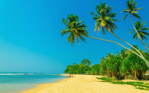 , , paradise, , tropical, sand, beach, summer, , shore, , , , palms, sea
